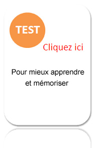 test les 7 profils d'apprentissage