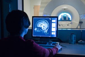 Cerveau : quelles fausses croyances ?