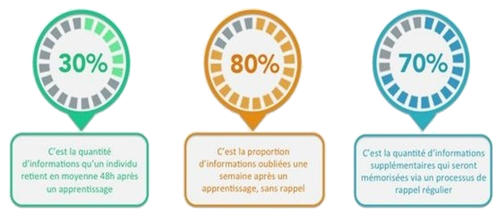 10 exemples de cartes mémoire pour réviser et mémoriser efficacement  (collège) - Apprendre, réviser, mémoriser