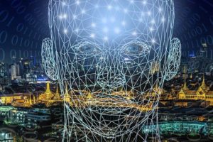 Intelligence et taille du cerveau